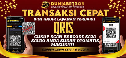 qris db303